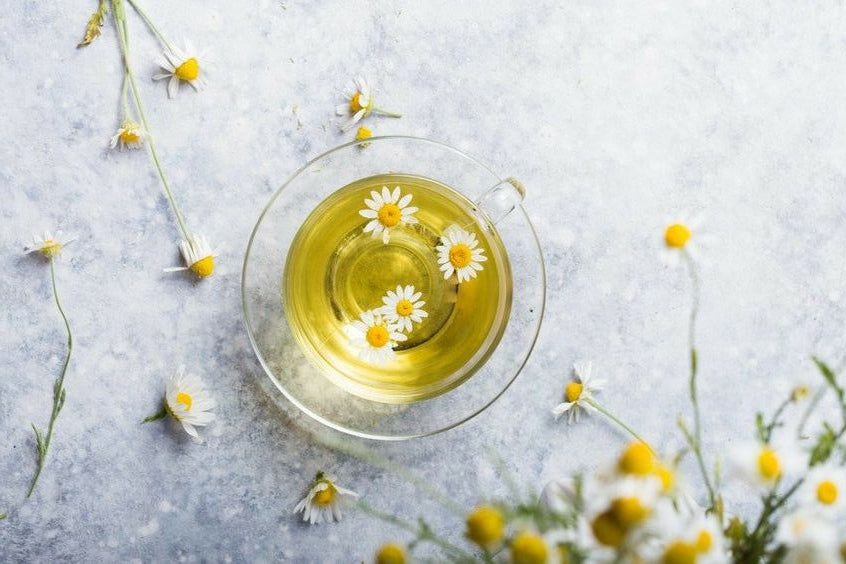 Tisane Rilassanti: Un Aiuto Naturale per un Sonno Sereno