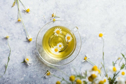 Tisane Rilassanti: Un Aiuto Naturale per un Sonno Sereno