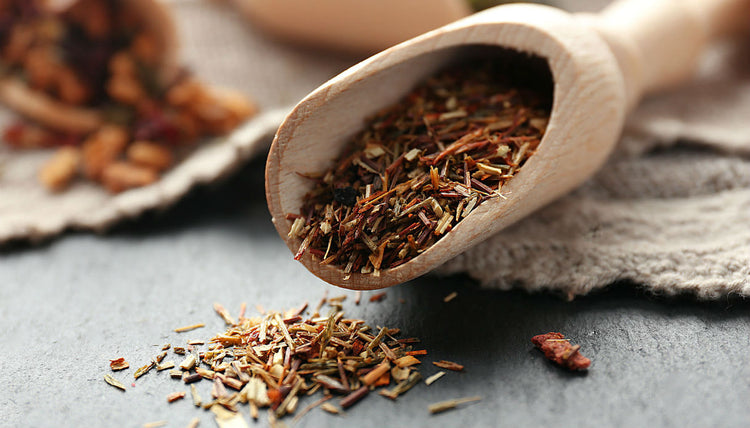 Rooibos