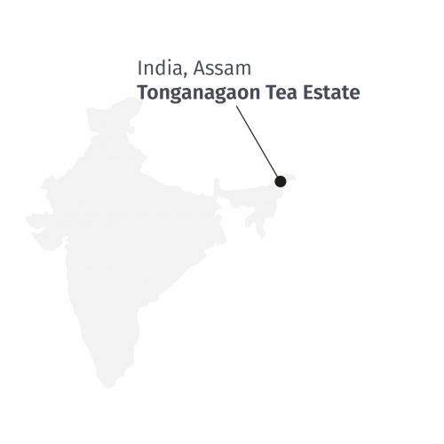 Tè Nero Assam Tonganagaon Indiano - Profumi di Tè