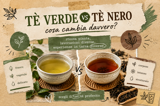 Differenza tra tè verde e tè nero: cosa cambia davvero?