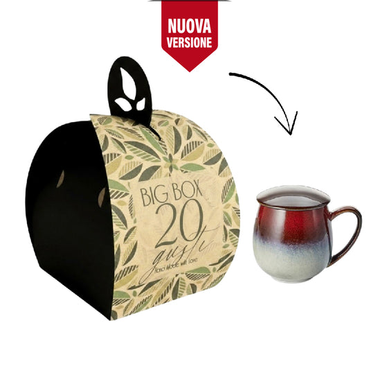 Big Box  + Tazza con filtro e coperchio | Selezione 20 Gusti – 20 Tazze di Tè e Infusi
