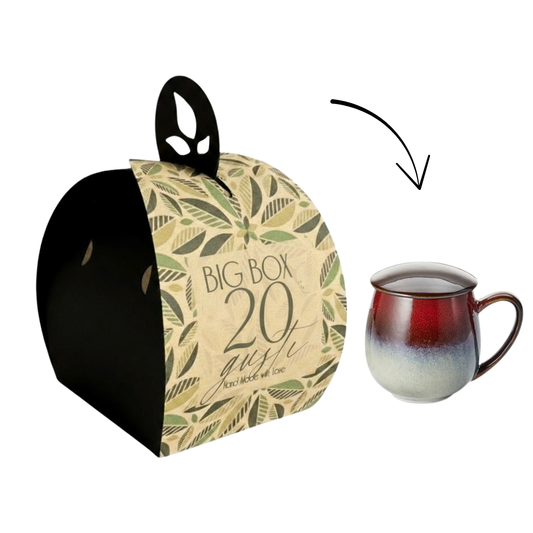 BIG BOX da 20 gusti + Tazza con filtro e coperchio colori assortiti