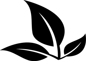 603 _ Oolong ARANCIA Busta da 70 g